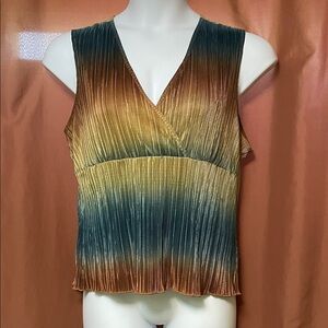 Cato Multicolor Pleated V-Neck Blouse